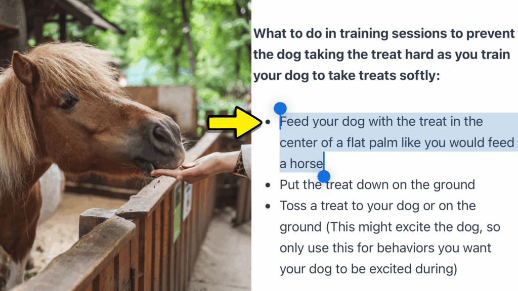 Dog takes treats too roughly? This method didn't work for me