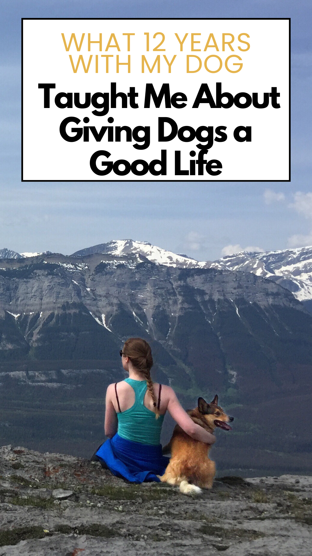 What 12 Years With My Dog Taught Me About Giving Dogs a Good Life:
